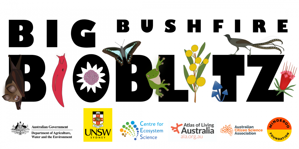 Big Bushfire BioBliz banner