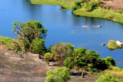 Okovango River